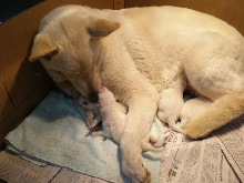 Momma loves her baby