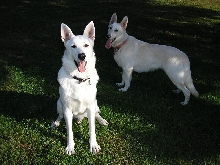 Ruger and Zehra posing for pictures