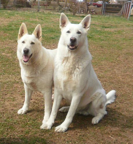 Zehra and Ruger