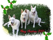 MERRY CHRISTMAS!!!