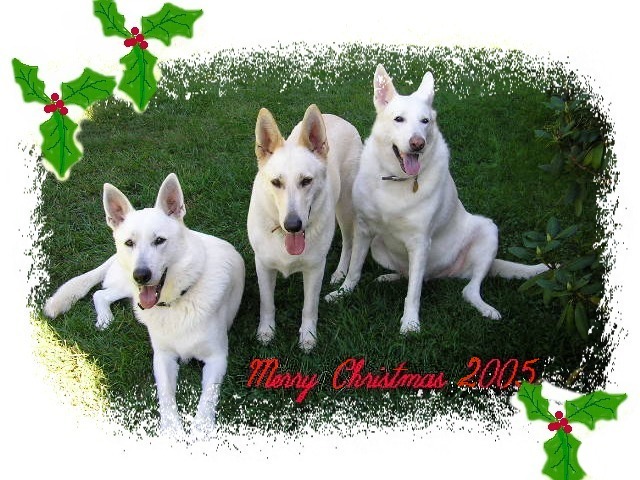 MERRY CHRISTMAS!!!