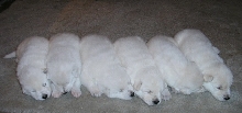 My kind of a six pack