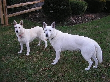 Zehra and Ruger