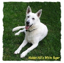 Hidden Hill's White Ruger