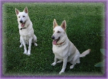 Zehra and Ruger
