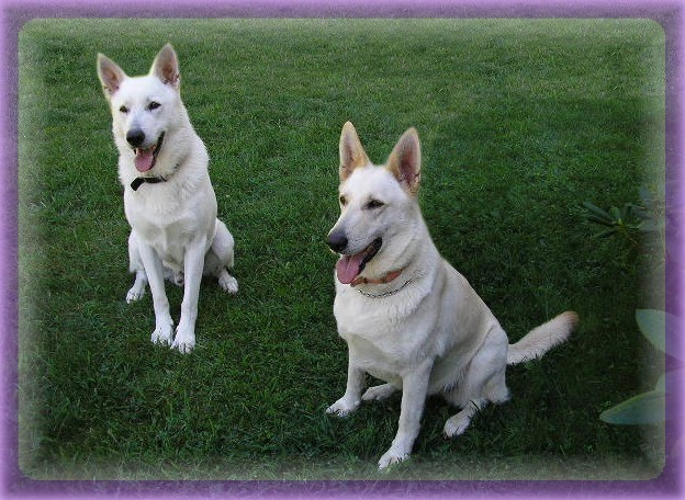 Zehra and Ruger