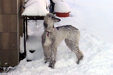 Let it snow!