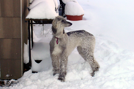 Let it snow!