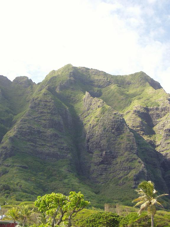 Oahu 7