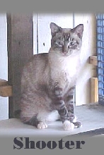 Shooter/Bridge Angel 2003