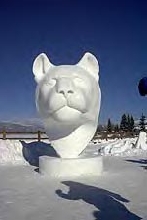 Snow Cat