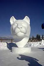 Snow Cat