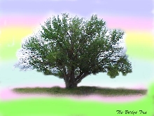 The Bridge Tree