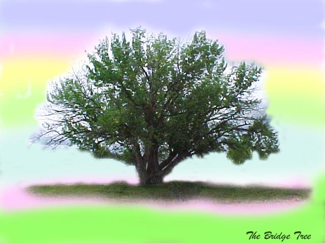 The Bridge Tree