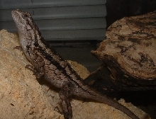 another view