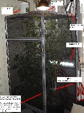 enclosure