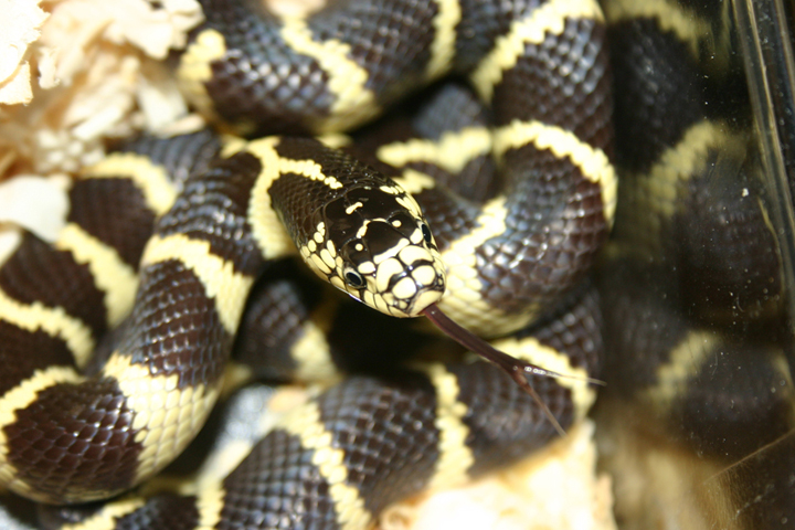 nice head shot