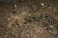 field pics 3