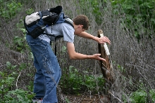 field pics 1