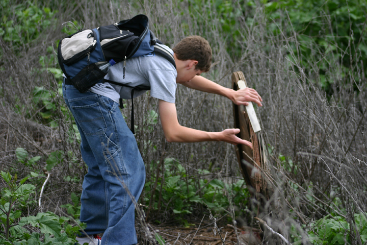 field pics 1