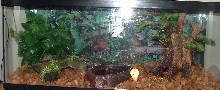 new home