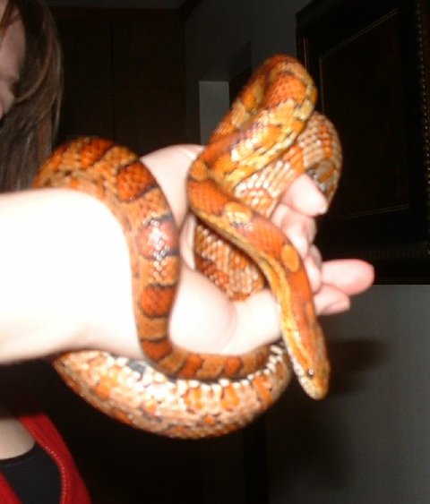 3rd of Leila hanging on tight :)