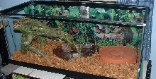 Leilas New Home 1 of 3