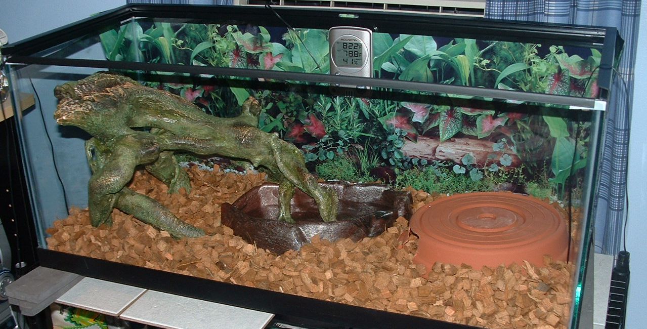 Leilas New Home 1 of 3