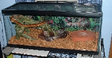 Leila in her home