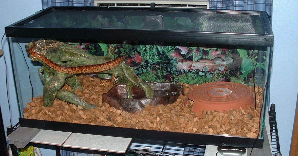 Leila in her home