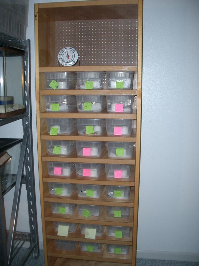 rio brovo rack system