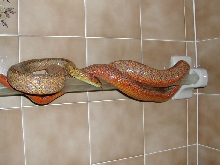 towel rack bairdi