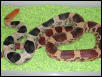 N. Mexican pine snake-male