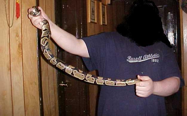 Me and my 3 1/2 foot het pied male
