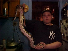 New male