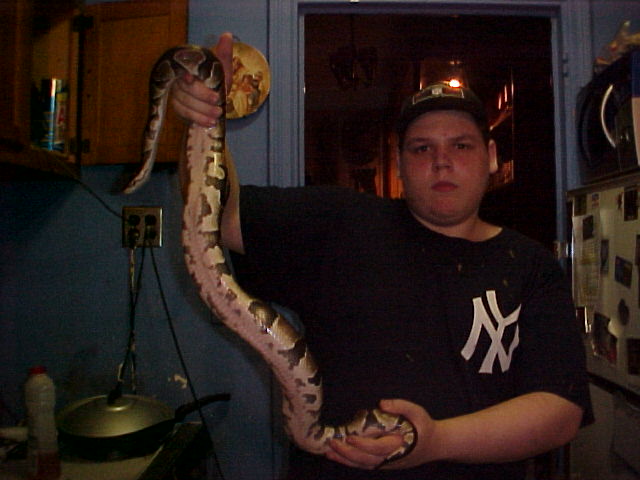 New male