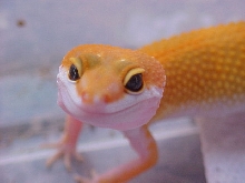 Cute Closeup