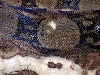 White Spots with Shed???