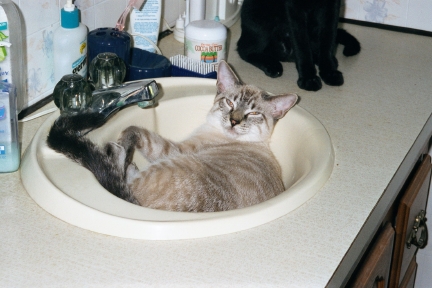 sink mijo