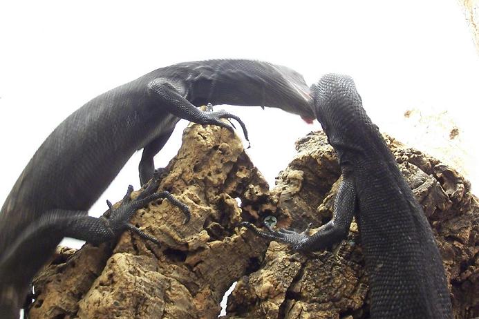 make out time...