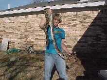 Adult male labrynth!