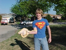 My old albino retic