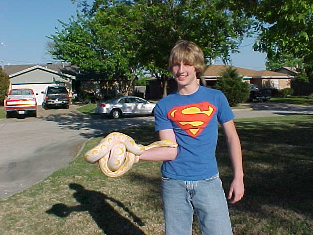 My old albino retic