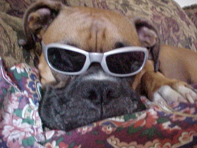 Look at this bum