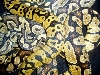 Graziani pastel, lemon pastel, yellow ghost