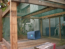 Sid's Enclosure