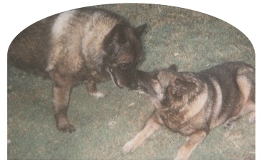 How I will remember Jake and CK