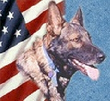 FUR the U.S.A!