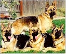Posse