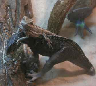 Leviathan Conquers Beast